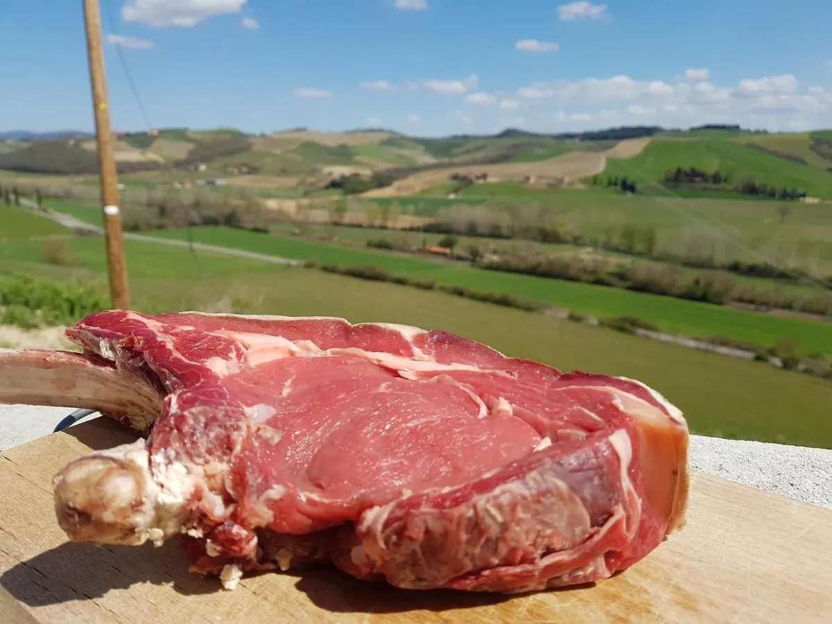 Agriturismo Montepinci Montalcino Italy